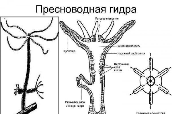 Кракен тг маркетплейс