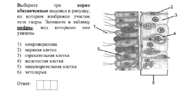 Кракен официальное зеркало 2024