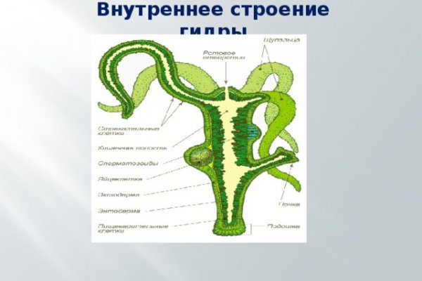 Ссылка на кракен в тор на сегодня